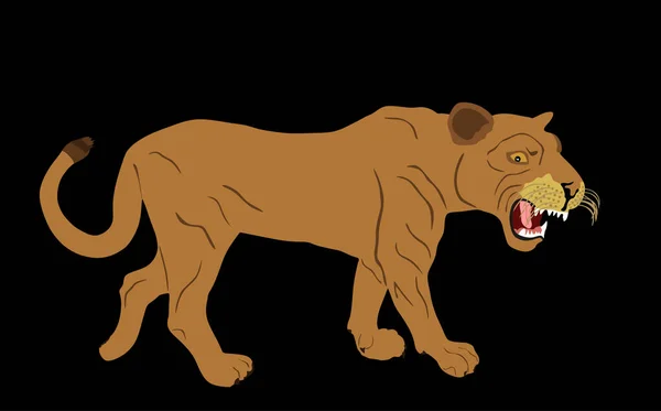 Illustration Vectorielle Lionne Isolée Sur Fond Noir Lion Femelle Roi — Image vectorielle