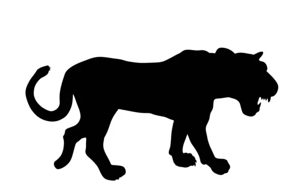 在白色背景上孤立的狮子座矢量轮廓图解 狮子女 动物之王大猫非洲的骄傲狮子座黄道带符号 野生动物掠食者非洲五大国 山狮美洲狮形 — 图库矢量图片