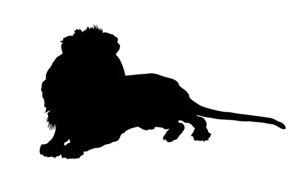在白色背景上孤立的狮子矢量轮廓图 动物王的影子 大猫非洲的骄傲 狮子座黄道带符号 野生动物掠食者狮形符号 非洲五大成员 — 图库矢量图片