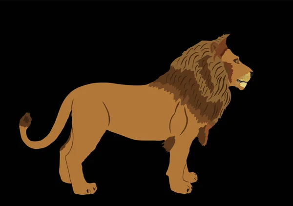 Illustration Vectorielle Lion Isolée Sur Fond Noir Roi Animal Gros — Image vectorielle