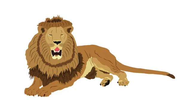 Ilustrasi Vektor Singa Diisolasi Pada Latar Belakang Putih Raja Hewan - Stok Vektor