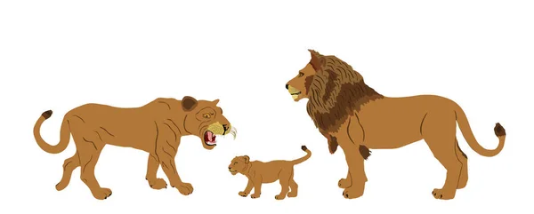 Ilustración Vectorial Familia Lion Aislada Sobre Fondo Blanco Leona Con — Vector de stock