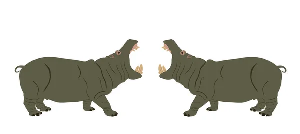 Hippopotamus Open Jaws Hippo Fight Male Opponent Mating Vector Illustration — Stock Vector