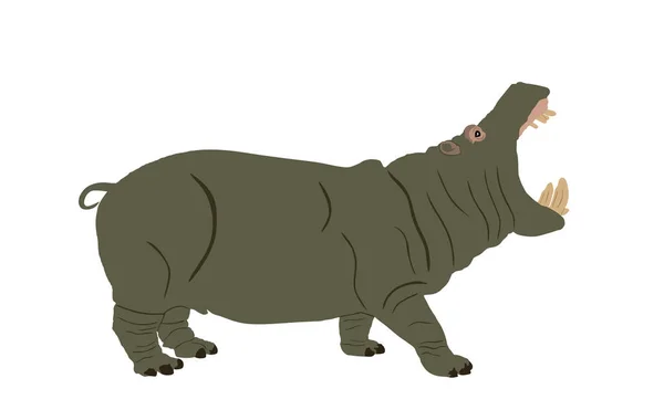 Hippopotamus Nyitott Állkapocs Víziló Vektor Illusztráció Elszigetelt Fehér Háttér Nagy — Stock Vector