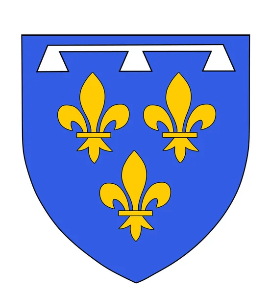 Historická Provincie Francie Orleanais Symbolický Vektor Ilustrace Izolované Znak Gallo — Stockový vektor