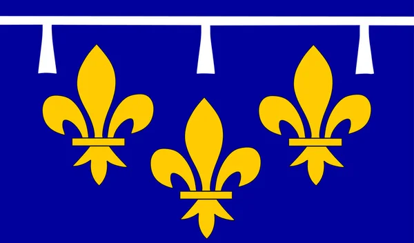 Historische Provinz Von Frankreich Orleanais Flaggenvektorillustration Isoliert Flagge Der Galloromanischen — Stockvektor