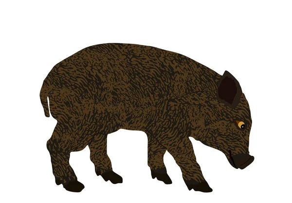 白地に孤立した赤ちゃん豚ベクトルイラスト 豚肉だ 農場の動物のシンボル 国産豚 イノシシの繁殖 有機食品 小さな子豚のシンボル 肉屋の壁紙ポスター — ストックベクタ