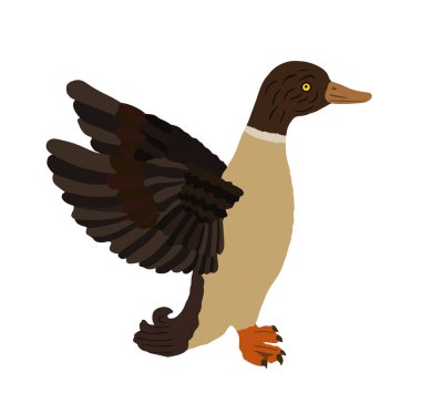 Vahşi ördek çizimi beyaz arka planda izole edildi. Vahşi yaşam kümes hayvanları sembolü. Çiftlik kuşu işareti. Restoran yemek menüsü. Kanatlarını aç ördek.