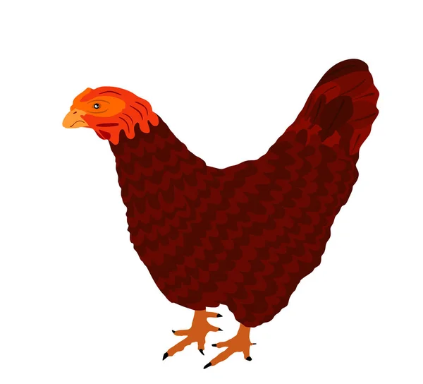 Κοτόπουλο Διανυσματική Απεικόνιση Απομονώνονται Λευκό Φόντο Σύμβολο Hen Αγροτική Χειροτεχνία — Διανυσματικό Αρχείο