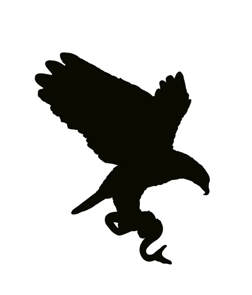 Aquila Calva Volante Attacco Serpente Vettoriale Silhouette Illustrazione Isolata Sfondo — Vettoriale Stock