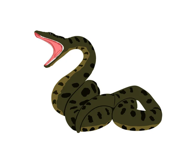 Curl Snake Attack Prey Vector Illustration Isolated White Background Anaconda — Stock Vector