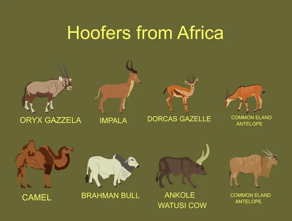 Afrika Hufe Tiere Vektorillustration Isoliert Auf Dem Hintergrund Antilope Gazelle — Stockvektor