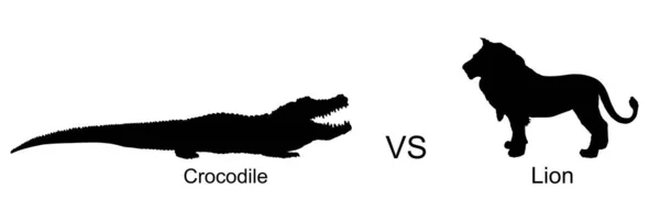 Крокодил Против Львиного Векторного Силуэта Изолированного Белом Выживший Полив Место — стоковый вектор