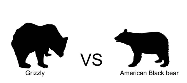 Grizzlybär Gegen Amerikanischer Schwarzbär Vektor Silhouette Illustration Isoliert Auf Weißem — Stockvektor