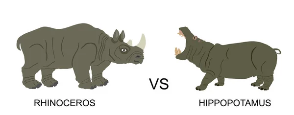 Rinoceronte Macho Contra Ilustração Vetorial Hipopótamo Isolado Sobre Branco Alerta —  Vetores de Stock