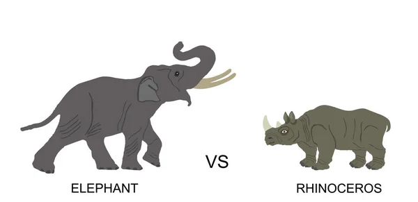 雄象对抗犀牛病媒的图像在白色背景上被分离出来 偷猎者对非洲动物的警觉 大象的象征 Safari的吸引力 强敌打水仗 — 图库矢量图片