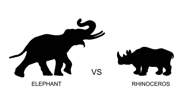 Éléphant Mâle Contre Silhouette Vectorielle Rhinocéros Illustration Isolée Sur Fond — Image vectorielle