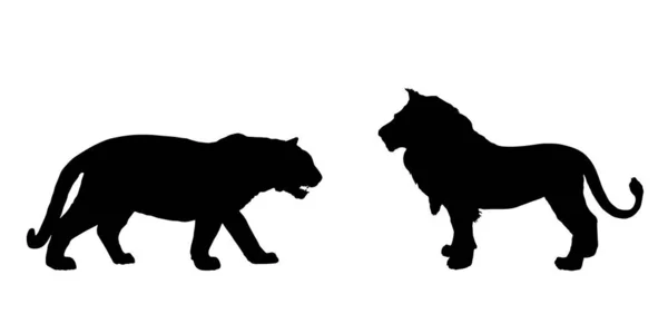虎对狮子矢量轮廓说明孤立于白色背景 来自亚洲的大猫对着非洲的动物王的骄傲 野生动物掠食者的战斗 狮子座的象征 强壮有力的猫科动物 — 图库矢量图片