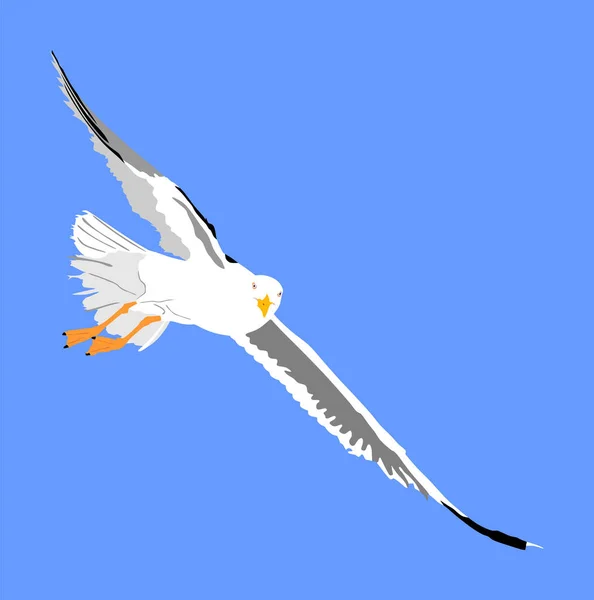 Γλάρος Πετούν Μπλε Ουρανό Φόντο Διανυσματική Απεικόνιση Θάλασσα Ωκεάνιο Πουλί — Διανυσματικό Αρχείο