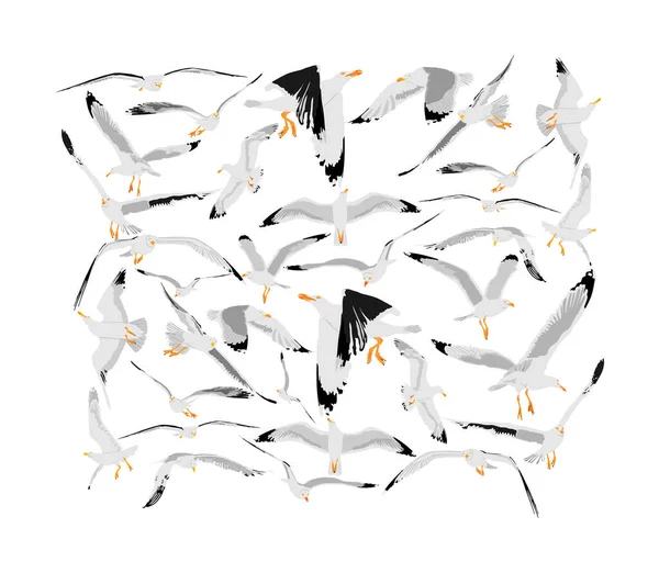 Kolekcja Muszki Mewa Ilustracji Wektor Nieba Izolowane Białym Tle Ptak — Wektor stockowy