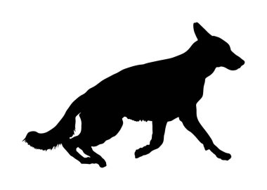 Alman Çoban Köpeğinin portresi köpek vektör silueti izole edildi. İnsanın en iyi dostu. Güzel hayvan koşusu. Köpek gösterisi sergisi. Bulucu patlayıcı ve uyuşturucu tespit etti. Kurtarma köpeği. Akıllı hayvan..
