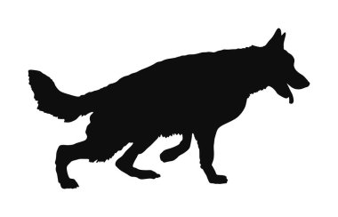 Alman Çoban Köpeğinin portresi köpek vektör silueti izole edildi. İnsanın en iyi dostu. Güzel hayvan koşusu. Köpek gösterisi sergisi. Bulucu patlayıcı ve uyuşturucu tespit etti. Kurtarma köpeği. Akıllı hayvan..