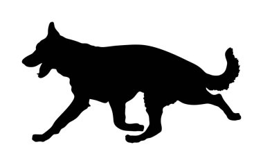 Alman Çoban Köpeğinin portresi köpek vektör silueti izole edildi. İnsanın en iyi dostu. Güzel hayvan koşusu. Köpek gösterisi sergisi. Bulucu patlayıcı ve uyuşturucu tespit etti. Kurtarma köpeği. Akıllı hayvan..