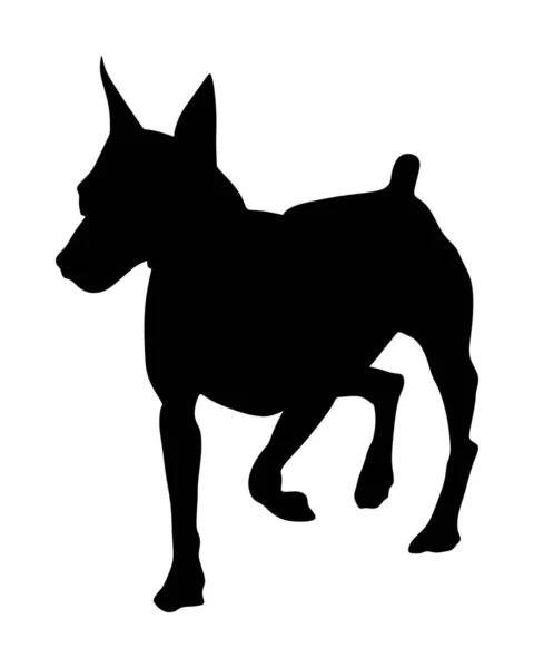 白を基調としたミニチュアピンチャーベクトルシルエットイラストのポートレート 小さなピンチャー犬のシンボル マンチェスター テリアの形 犬に注意してください 黒犬のシルエット — ストックベクタ