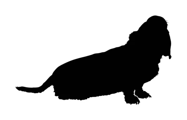 在白色背景上孤立的纯正基集自体基集猎犬矢量轮廓的刻画 黑狗形状的影子 孩子们最好的朋友可爱的家庭成员 — 图库矢量图片