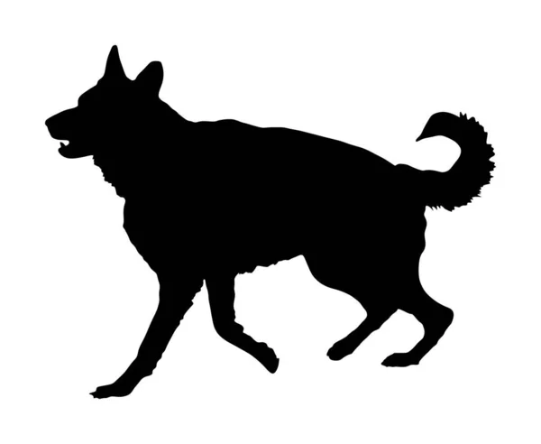 Portret Van Duitse Herder Lopende Hond Vector Silhouet Geïsoleerd Beste — Stockvector