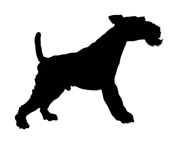 Portrait Fox Terrier Vector Silhouette Illustration Isolated White Background Beware — Stock Vector
