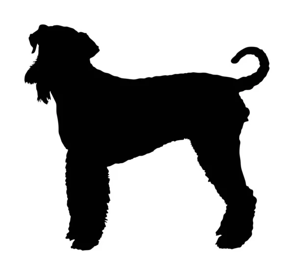 Porträtt Airedale Terrier Vektor Siluett Illustration Isolerad Vit Bakgrund Stor — Stock vektor