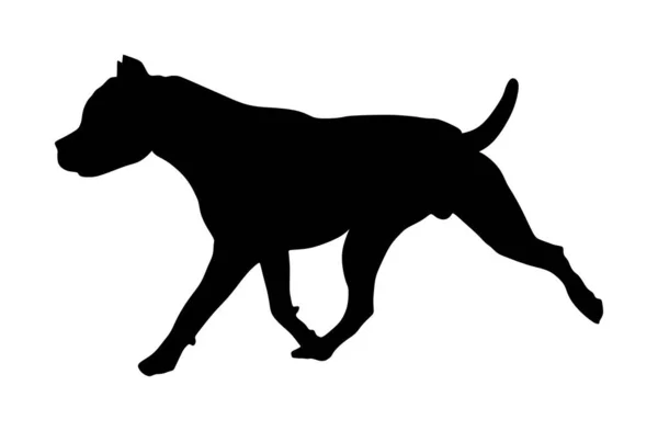 Running Dog American Staffordshire Pit Bull Terrier Vector Silhouette Illustration — Stock Vector