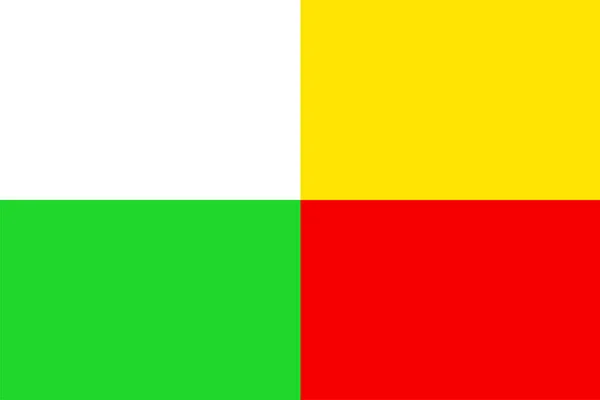 Bandiera Della Città Plzen Cechia Repubblica Ceca Città Plzen Bandiera — Vettoriale Stock