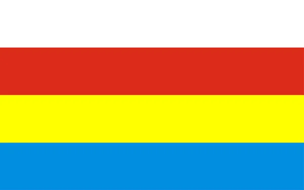 Ilustracja Wektorowe Flagi Jednostek Administracyjnych Województwa Podlaskiego Prowincja Europejska — Wektor stockowy