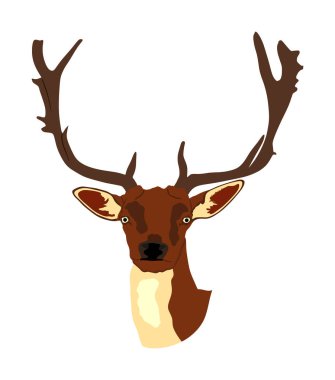 Beyaz arka planda izole edilmiş kırmızı geyik kafası çizimi. Ren geyiği sembolü. Ormanda ya da hayvanat bahçesinde asil bir geyik. Güçlü bir erkek, kocaman bir boynu ve boynuzları var. Sika geyiği.