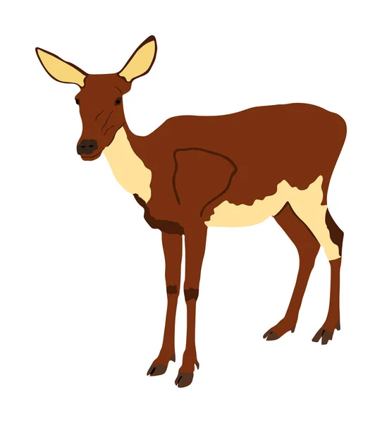 Deer Kvinnlig Vektor Illustration Isolerad Vit Bakgrund Ren Fawn Stolta — Stock vektor