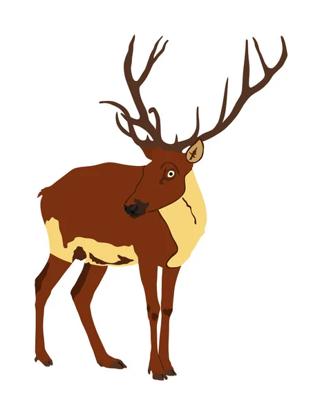 白を基調とした赤鹿ベクトルイラスト トナカイのシンボル 森林や動物園で誇り高い高貴な鹿の男性 巨大な釣り人が立っている強力なバック — ストックベクタ