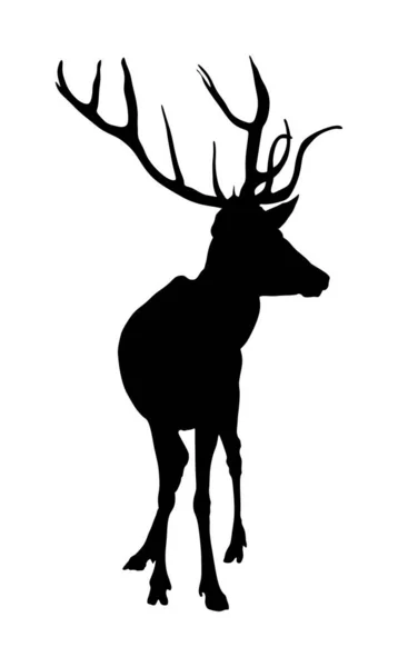 Deer Vector Silhouette Illustration Isolated White Background Hunting Trophies Gunpoint — Stock Vector