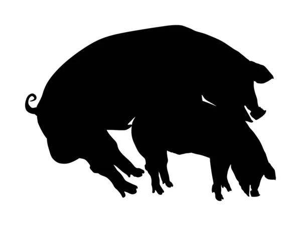 棒は種の形のシンボルと一致します 白の背景に隔離された豚のセックスベクトルシルエットイラスト 豚は農場で繁殖する 豚カップルのセックスペアリング交尾 農場動物の愛 男性と女性 — ストックベクタ