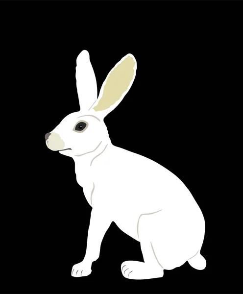 White Rabbit Vector Illustration Isolated Black Background Rodent Animal Symbol — Stock Vector