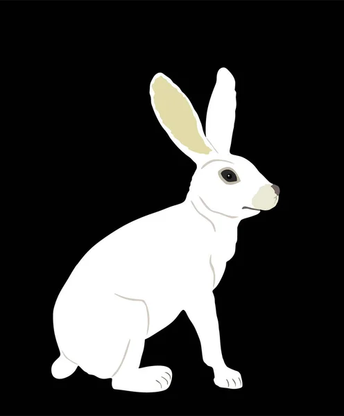 在黑色背景上孤立的白色兔子矢量图解 啮齿动物的象征 复活节的象征 兔子可爱的食草动物 — 图库矢量图片