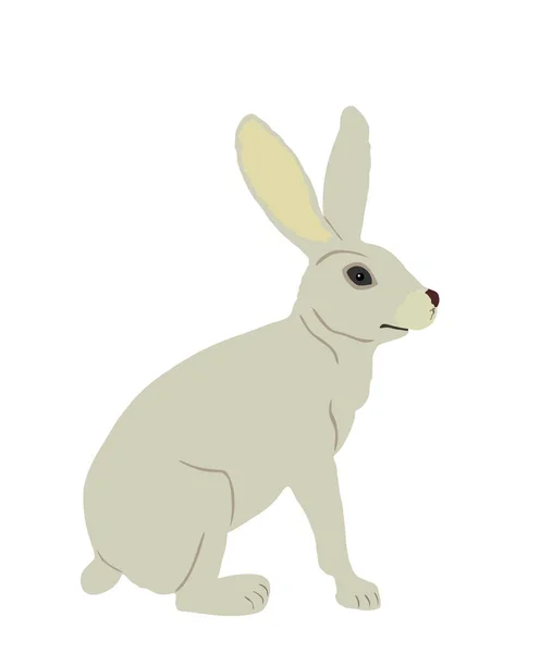 Králičí Vektorová Ilustrace Izolovaná Bílém Pozadí Symbol Hlodavce Velikonoční Svátky — Stockový vektor