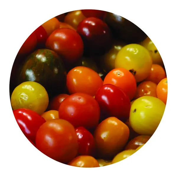 Different color cherry tomatoes organic food image. Background of cherry tomatoes vegetable photo.