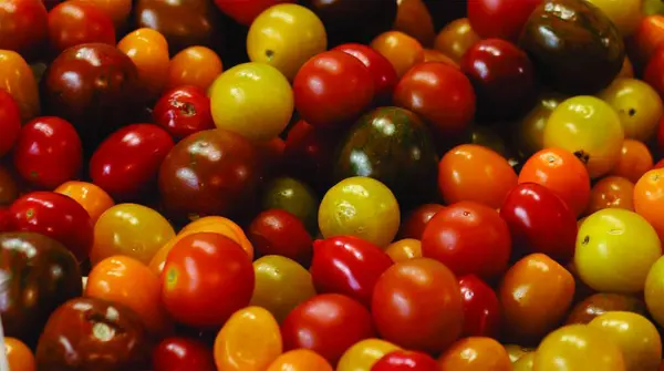 Different color cherry tomatoes organic food image. Background of cherry tomatoes vegetable photo.