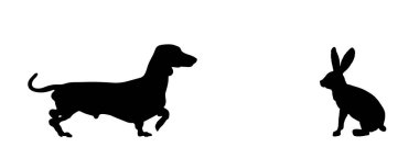 Dachshund köpek avcısı beyaz arka planda izole edilmiş tavşan vektör siluetini kovalıyor. Köpek avlama tavşanı şekli. Evcil çiftlik hayvanı yırtıcısına karşı av. Dachshund köpek silueti.