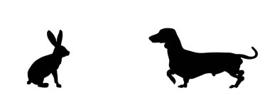 Dachshund köpek avcısı beyaz arka planda izole edilmiş tavşan vektör siluetini kovalıyor. Köpek avlama tavşanı şekli. Evcil çiftlik hayvanı yırtıcısına karşı av. Dachshund köpek silueti.