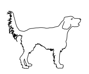 Golden Retriever vektör hattının köpek portresi beyaz arkaplanda izole edilmiş siluet çizimi. Köpeğe dikkat et. Arkadaş canlısı bir aile köpeği. Labrador Retriever grafiği.
