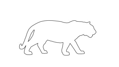 Kaplan vektör çizgisi beyaz arka planda izole edilmiş siluet çizimi. Büyük vahşi kedi. Sibirya kaplanı ya da Bengal kaplanı. Sessiz yırtıcı. Güçlü hayvan sembolü.