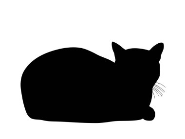 Beyaz arka planda izole edilmiş sevimli tembel kara kedi yer vektörü siluetinin üzerinde uzanıyordu. Sevimli hayvan. Kitty yere uzandı..